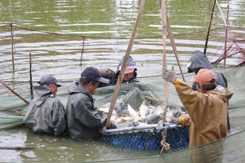 乡村生态观, 鱼米之乡