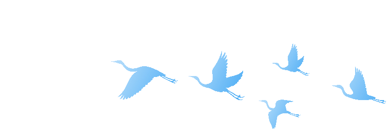 type, FYA, 德国学习足 type, FYA, 德国学习足
